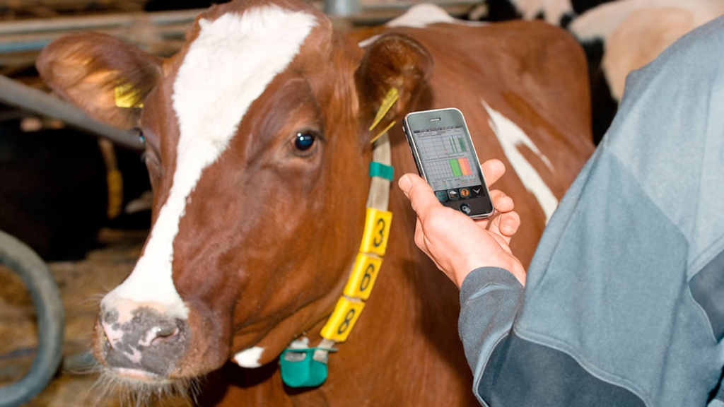 DairyFarming_CowView_1_1_1200x675px_497384_tcm27-14159.jpg