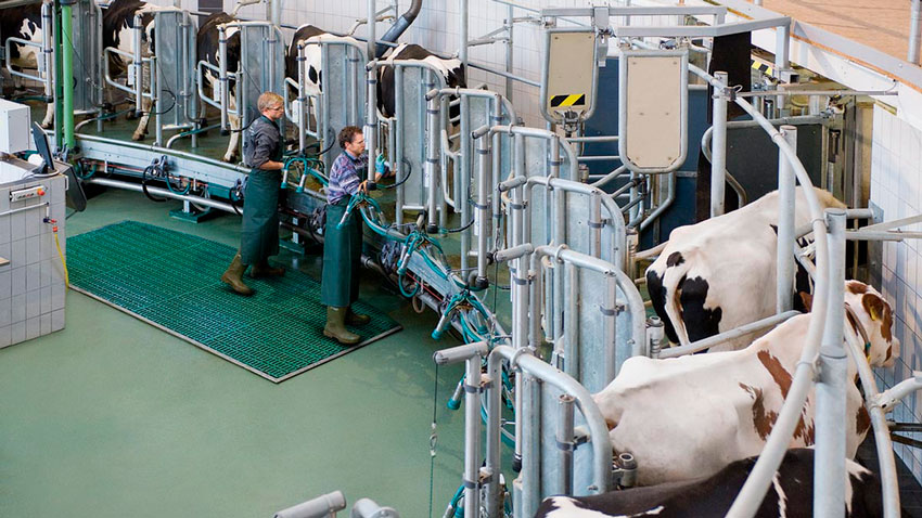 DairyFarming_AutoRotor_Magnum_40_2_1200x675px_497284_tcm27-12884.jpg