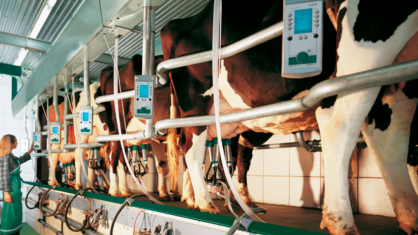DairyFarming_Euroclass_1_3_1200x675px_497594_tcm27-14148.jpg